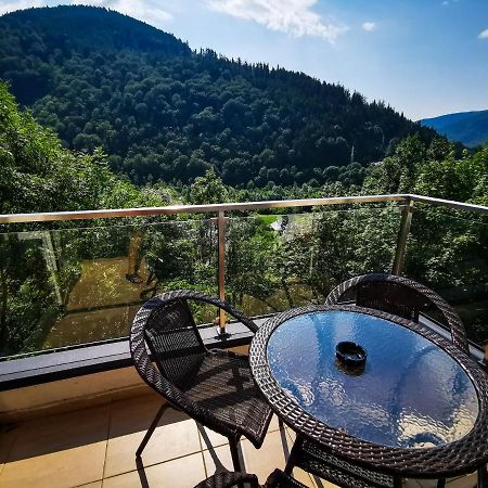 Orchid Luxury Apartment Sinaia Buitenkant foto