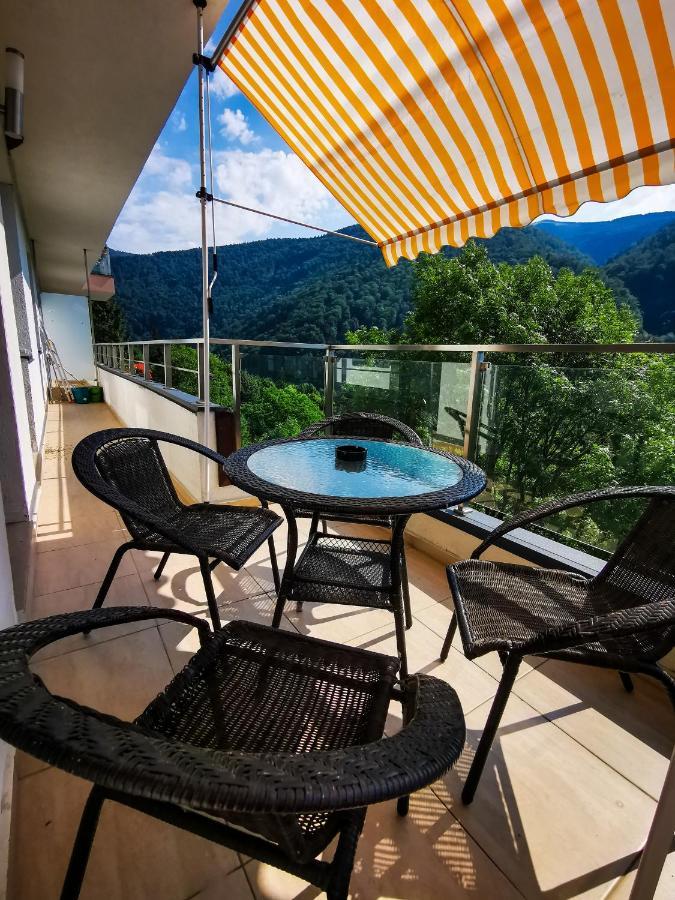 Orchid Luxury Apartment Sinaia Buitenkant foto