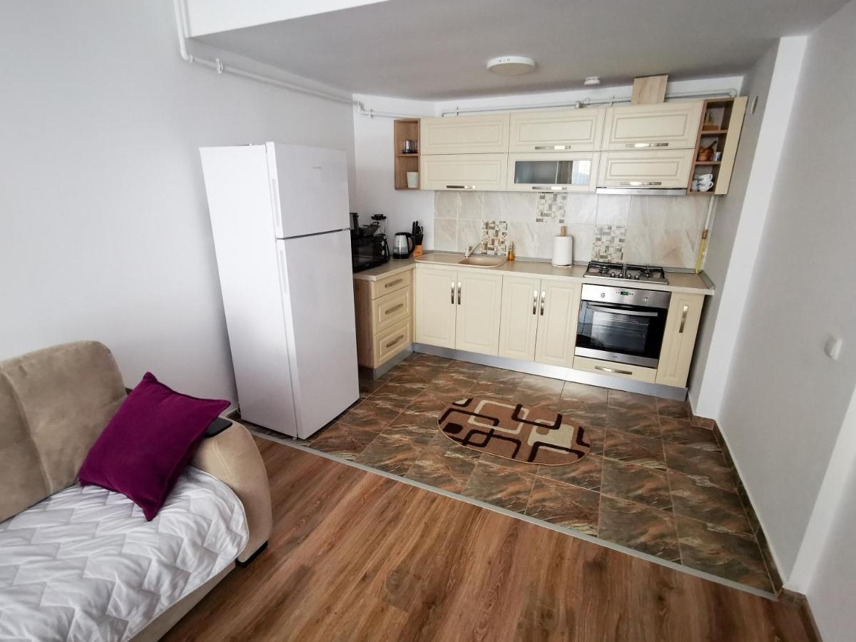 Orchid Luxury Apartment Sinaia Buitenkant foto
